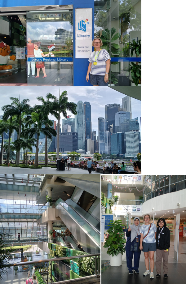 A collage of people in a shopping mall

Description automatically generated