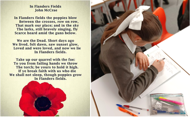 A child sitting at a desk with a book and a red flower

Description automatically generated