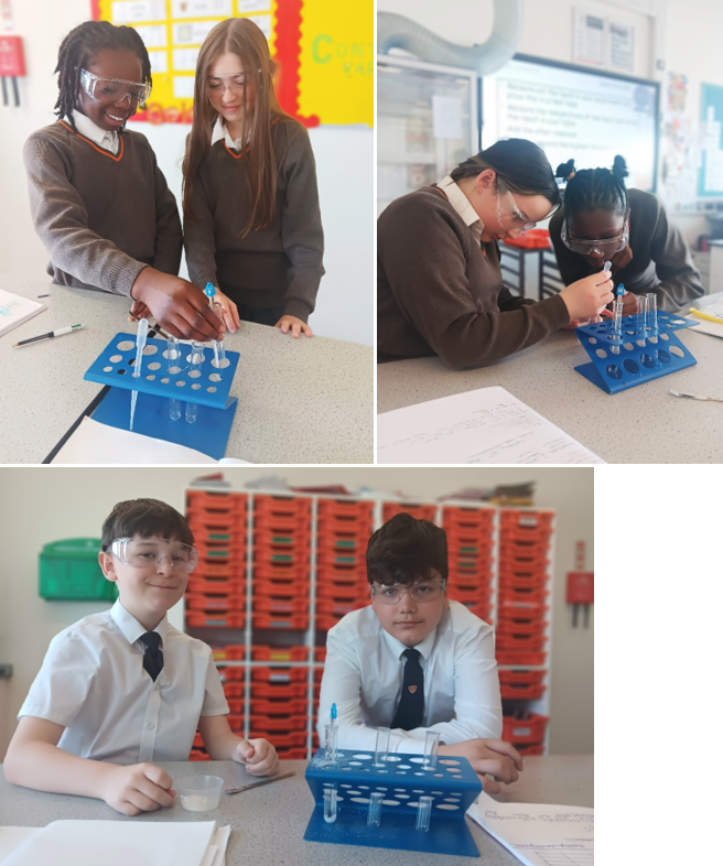 Several pictures of students in a lab

AI-generated content may be incorrect.