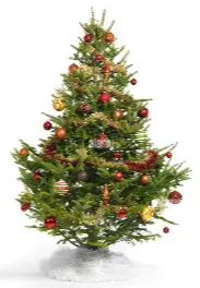 A christmas tree with ornaments

AI-generated content may be incorrect.