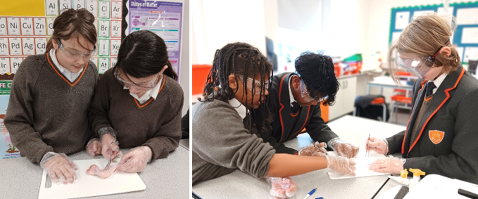 A collage of students working on a project
AI-generated content may be incorrect.
